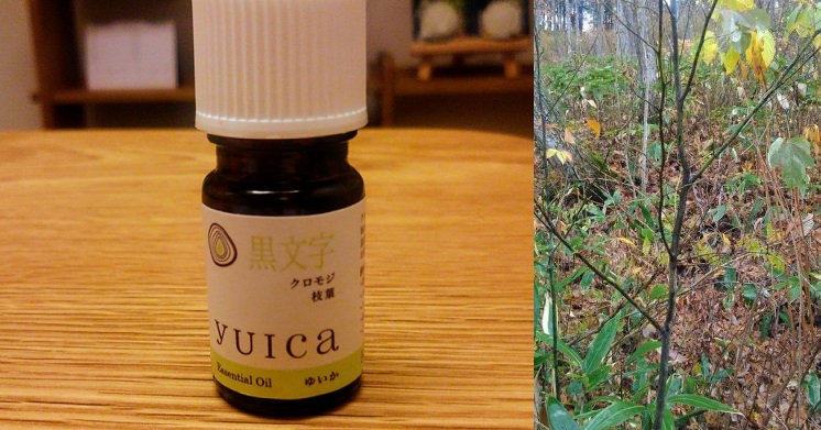 アクセスランキングtop３ ３月のラヴァーレブログ Happyaromalife